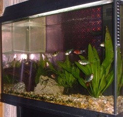 November 2002: Picture of whole tank