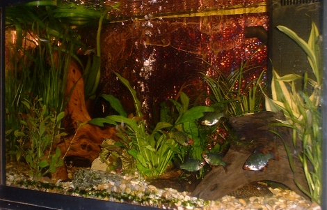 January 2003: Picture of whole tank