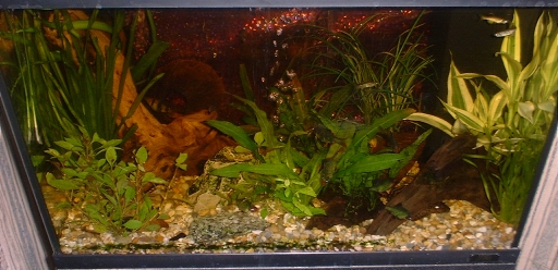 January 2003: Picture of whole tank