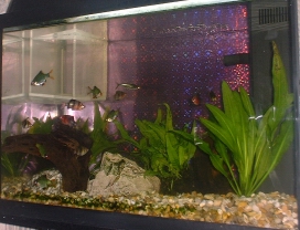 November 2002: Picture of whole tank
