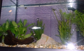 September 2001: Picture of whole tank