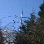 Cambridge, UK: Electricity poles in the Science Park [Picture by Flash Wilson]