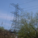 Essex, UK: Pylons on the road between Ongar and London [Picture by Flash Wilson]