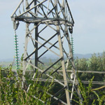 New Zealand: Closeup of midsection of 220kV pylon [Picture by Graeme MacDonald]