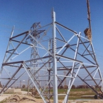 New-born pylon growing near Izmir, Turkey. [Picture by Abdullah Eyles]