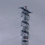 Purfleet, UK: Top of pylon carrying cables over the Thames near the Queen Elizabeth II Bridge [Picture by Flash Wilson]